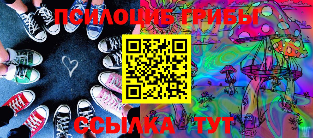 Галлюциногенные грибы GOLDEN TEACHER  Вход с VPN  Псилоцибиновые грибы GOLDEN TEACHER  Сердобск 